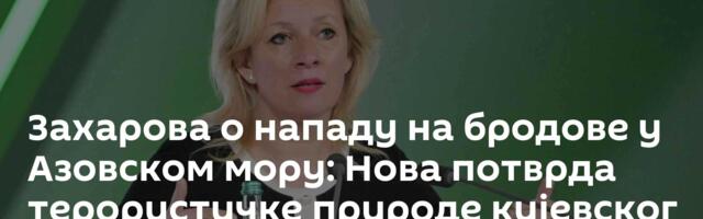 Захарова о нападу на бродове у Азовском мору: Нова потврда терористичке природе кијевског режима