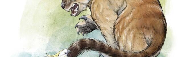 Simpatične koale su imale brutalne bliske rođake sa oštrim zubima