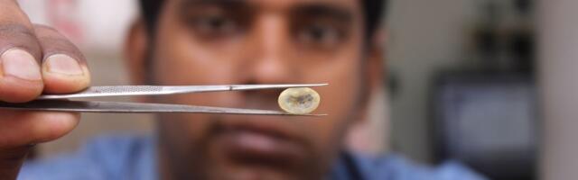 Dva prijatelja su zakupila parcelu, pa pronašli malo blago: "Dijamant je draguljastog kvaliteta, a vredi..."