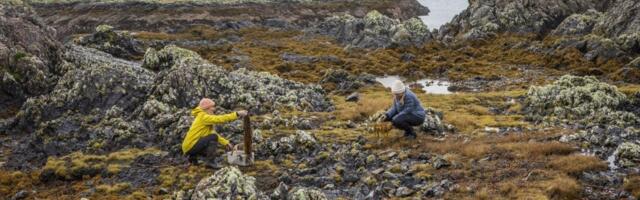 Nude posao na pustom ostrvu, plata 30.000 evra - evo šta treba da se radi!