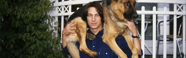 Inspektor Reks se vraća: Najpoznatiji nemački ovčar ponovno kreće u poteru za zločincima