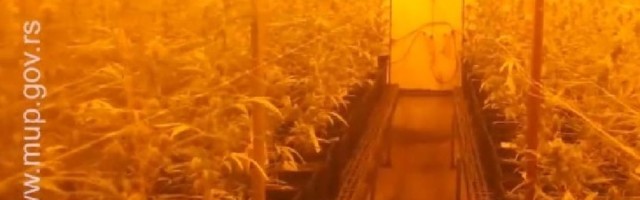 Sima i korisnici kredita, žrtve nedostatka pravne države