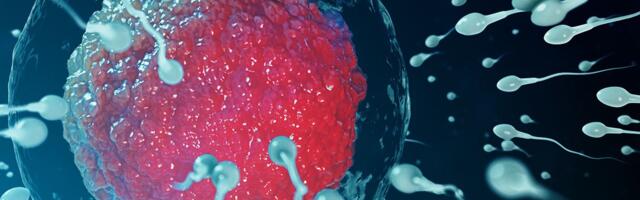 Sperma donora sa genom koji izaziva rak korišćena za začeće skoro 200 dece