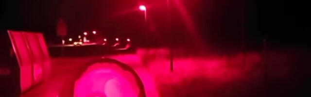 Crvena ulična svetla i šišmiši: Nauka iza naizgled bizarne novotarije u evropskom gradu