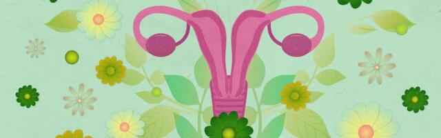 Dve materice: Život sa retkom ginekološkom anomalijom