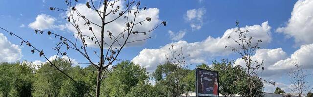 Prilika za srednjoškolce iz Zrenjanina! Caritas Srbije traži ekološke heroje – prijave u toku