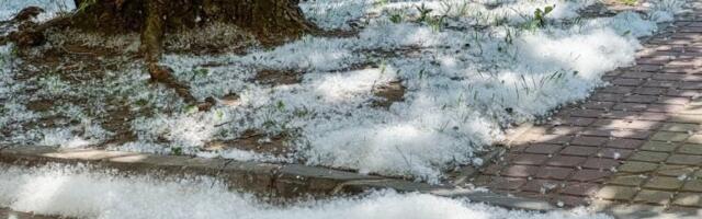 NESVAKIDAŠNJI PRIZOR U NOVOM SADU: Grad se potpuno ZABELEO na 22 stepena, građani u šoku trljaju oči: Evo šta se zapravo dešava! (VIDEO)
