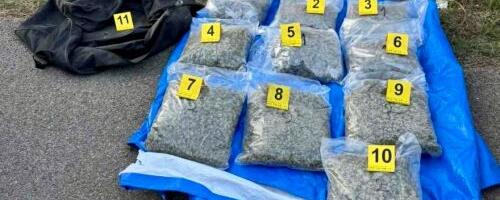 Velika akcija policije u Leskovcu: Pronađeno čak 10 kilograma marihuane