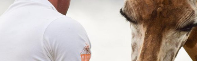 Ono što ovaj veterinar radi otopiće i najhladnija srca, prosto ne možete da mu odolite!