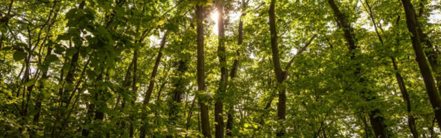 PUT KA ODRŽIVOJ BUDUĆNOSTI Srbija bez deponija: kako evropski lideri koriste otpad kao resurs