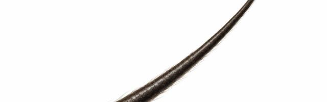 Po prvi put u laboratoriji uzgojeni potpuno funkcionalni folikuli dlake