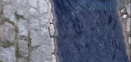 Vranjska reka modrocrna: Nadležni ćute, zagađivač (ne)poznat!?