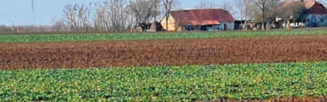 Планови за органску пољопривреду у Суботици у наредној деценији