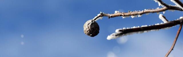 RHMZ: Upozorenje na mraz