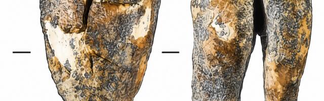 OTKRIĆE: Još su neandertalci izvodili stomatološke zahvate – primitivne