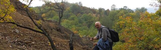 KRALJEVAČKA OKAMENJENA ŠUMA (VIDEO)