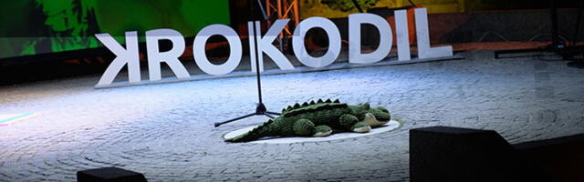 15. KROKODIL: Zvezda festivala je nemački pisac Bernhard Šlink