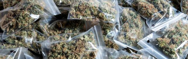 Hapšenje na aerodromu: Mađarica nosila 27 kg marihuane