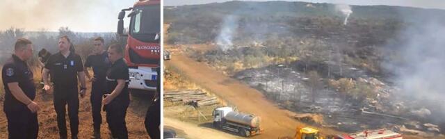 Gori kod Kladova: Vatra zahvatila više od 100 hektara (FOTO)