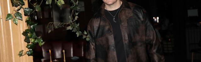 SLOBA RADANOVIĆ I BARBARA BOBAK 28 SATI ZAROBLJENI NA AERODROMU: Ovo je epilog drame