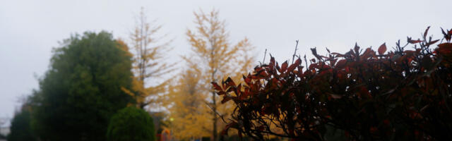 Ujutro mraz, tokom dana do 16 stepeni: Danas stabilno i umereno oblačno vreme