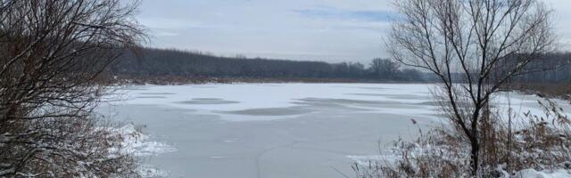 Kakve posledice bi imala izgradnja luke kod bare Reve nadomak Beograda