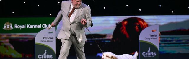 Mračna prošlost pobednika Krafts 2026: Isplivala PRESUDA ZA OKRUTNOST prema psima iz 2001. godine