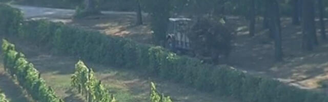 Tri zasada sve popularnija u Srbiji: Zarađuje se i po 40.000 evra godišnje, ali treba mnogo truda