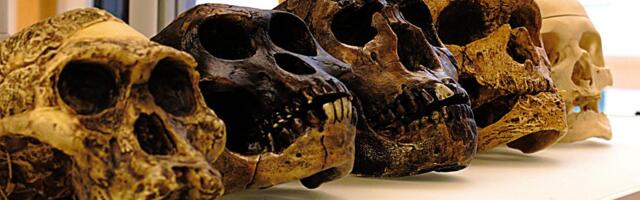 Veliko DNK istraživanje menja priču o poreklu čoveka: Naučnici iznenađeni rezultatima