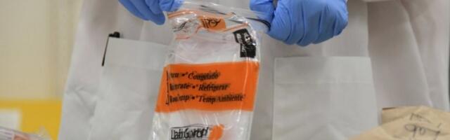 E, SAD SMO GOTOVI! U Evropi se pojavio novi SOJ KORONE! STIGAO IZ AFRIKE!