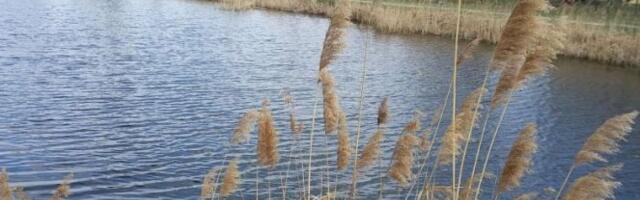 PRONAĐENO TELO MUŠKARCA U KIKINDI! Policija tokom uviđaja pronašla pištolj