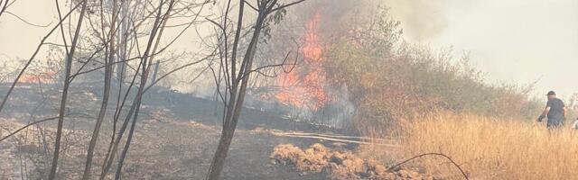 Užas u batajničkoj njivi! Muškarac palio strnjiku pa izgoreo u požaru