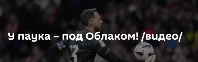 У паука – под Облаком! /видео/