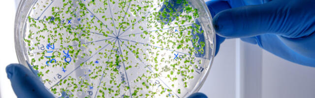 Čudesan antički mikroorganizam otkriven blizu Srbije: Otporan na lekove, ali može spasiti milione života