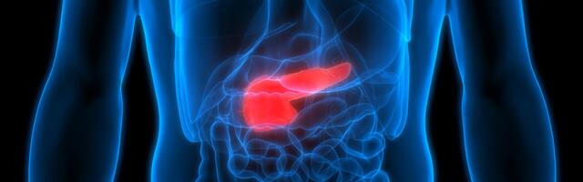 Mogu li „kibernetski“ transplantati zameniti tkivo pankreasa oštećeno dijabetesom?