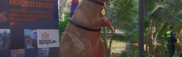 VIDEO: Pacov-deminer dobio statuu u Kambodži