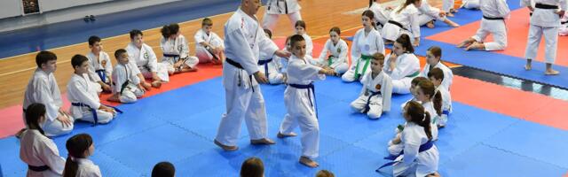 Članovi Šumadija karate dođoa nagarađivani na festivalu u Kraljevu