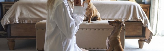 EU protiv 20 najvećih tehnoloških kompanija: Booking.com zakukao