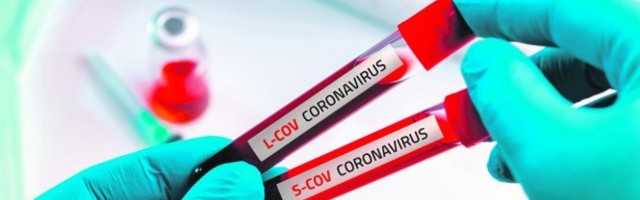 ZABORAVITE SVE U ŠTA STE VEROVALI O KORONI! Antitela uopšte nisu znak da vam je imunitet ugrožen?!