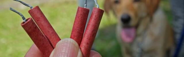 U 300 beogradskih škola edukacija o opasnostima od petardi