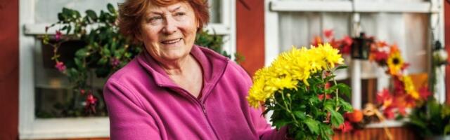 Ovo cveće nikako ne sadite u martu: Uvene za dve nedelje, a prodavci o tome ćute