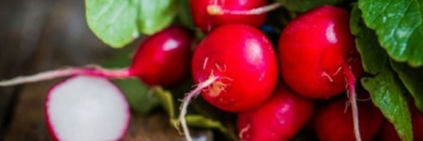 6 razloga zbog kojih treba da jedete rotkvice