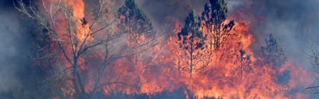 POŽAR U NOVOM PAZARU: Sumnja se da je vatra podmetnuta, meštani u strahu!