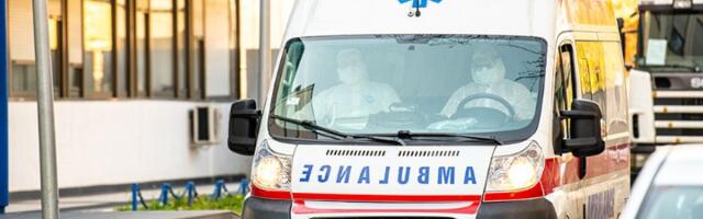 KCV: Vozač koji je pregazio psa Donu suspendovan i udaljen sa posla