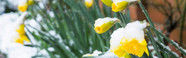 NISMO ZAVRŠILI SA HLADNIM VREMENOM U APRILU Oglasio se poznati srpski meteorolog