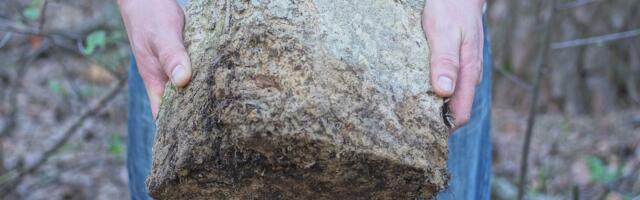 Čovek mislio da je pronašao ogroman GRUMEN ZLATA, a onda shvatio da je ISTINA POTPUNO DRUGAČIJA