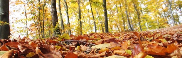 DANAS VREME PRETEŽNO SUNČANO