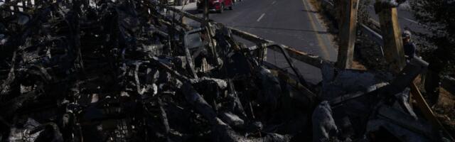 RAT NA MEKSIČKIM  ULICAMA! Više od 1.000 ljudi moralo da prenoći u zoo vrtu, među njima deca i starci