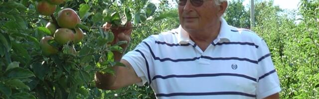 Čačanski voćari i struka o pravilnoj upotrebi pesticida