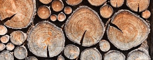 Agencija za energetiku: U Srbiji najjeftinije grejanje na drva, najskuplje na struju